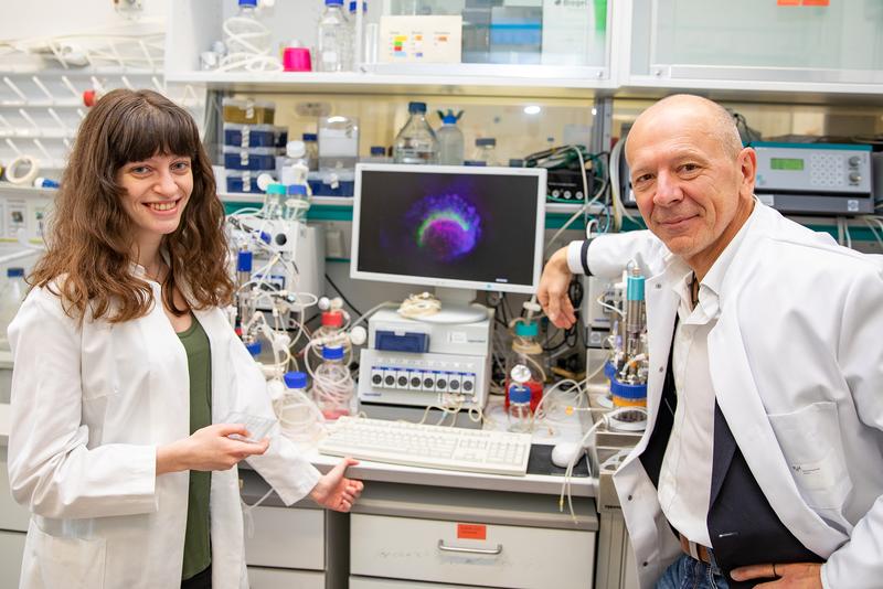 Dr. Lika Drakhlis und Dr. Robert Zweigerdt mit Bioreaktoren und einer speziellen Zellkulturschale, die als Plattform für die Anzucht der hPSC-Aggregate dient. 