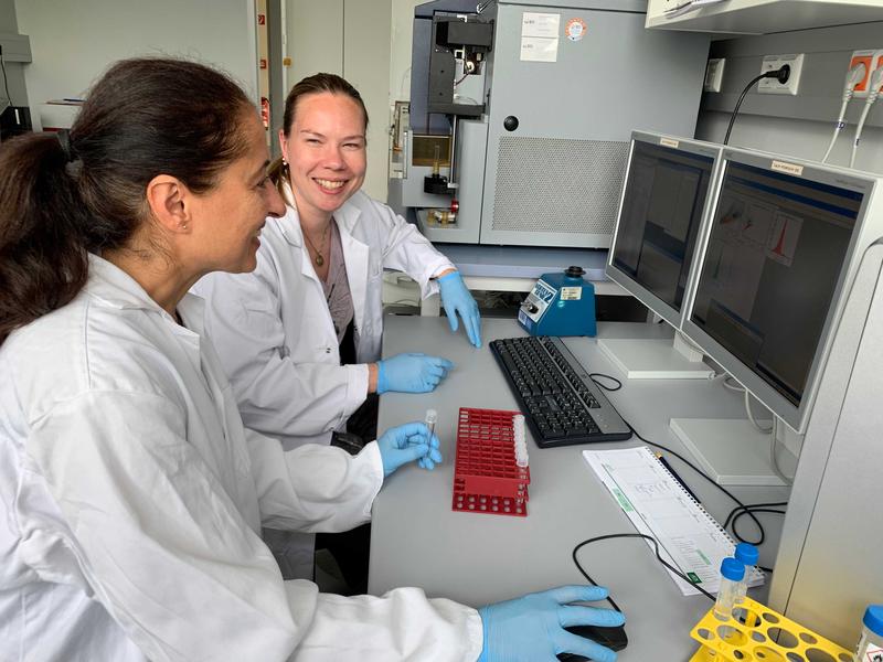 Messung von DNA Reparaturproteinen am Durchflusszytometer