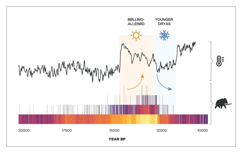 Simplified radiocarbon-dated event (REC) model