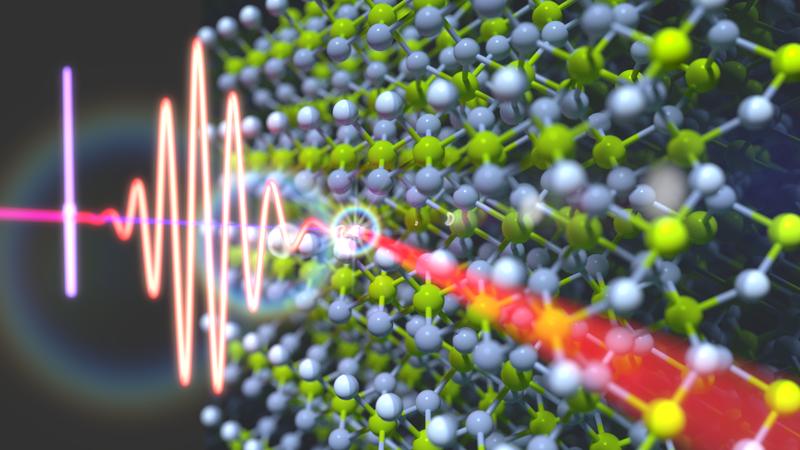 Light-induced ultrafast exciton dynamics in MgF₂ were investigated with attosecond transient reflection spectroscopy and microscopic theoretical simulations.