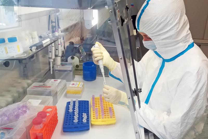 In the clean room at the IKMB, Sarah Hayer, a PhD student in marine biology, prepares oyster shells up to 150 years old for genetic analysis.