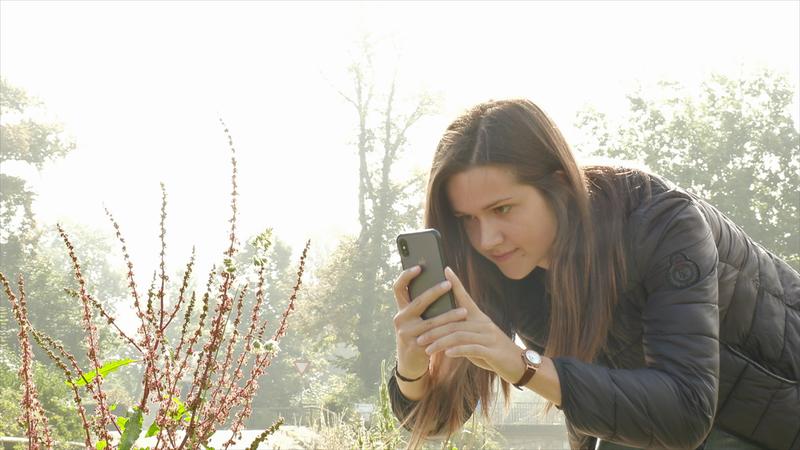 Über die BAYSICS-App können Bürgerinnen und Bürger nicht nur als „Laienforscher“ dabei helfen, Wissen über die Folgen des Klimawandels zu sammeln, sondern auch praktische Hilfe – etwa bei Pollenallergien. 