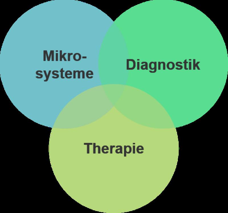 Der Fokus des Studiengangs "Biomedical Micro Engineering" liegt auf der Entwicklung von Mikrosystemen für Anwendungen in Diagnostik und Therapie (Grafik: Tarasov)