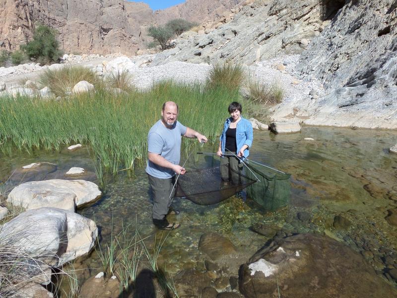 Sandra Kirchner (Wissenschaftliche Mitarbeiterin) und Robert Illek (Leiter der Zoologischen Hauptpräparation) erforschen neue Wüstenfisch-Arten in Oman.