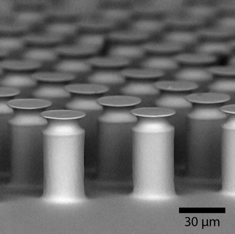 Am INM hergestellte innovative Oberflächenstrukturen mit charakteristischen Abmessungen unter einer Haaresbreite, die Gecko-ähnliche Hafteigenschaften aufweisen und in Robotikanwendungen eingesetzt werden
