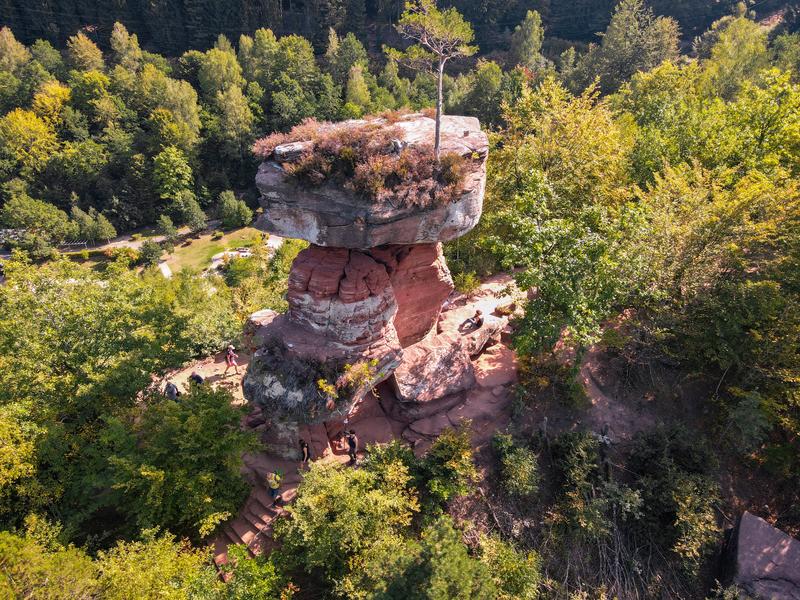 Der “Teufelstisch” im Pfälzer Wald gehört zu den spektakulären Formationen. Er bildet den Auftakt in der Reihe “Aufschluss des Monats”. 