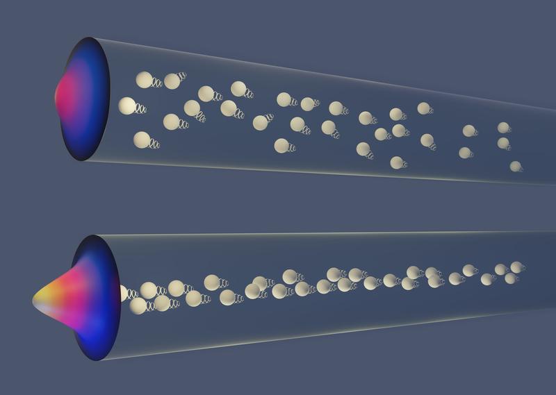 Due to the effect of the magnetic and flow fields, the magnetotactic swimmers are focused at the center of the channel differently for low densities (higher panel) and high densities (lower panel).