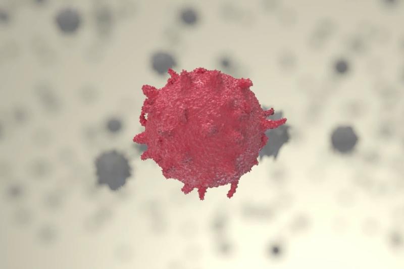 Th17-Immunzellen spielen eine wesentliche Rolle bei der Entstehung und Erhaltung von Autoimmunerkrankungen.