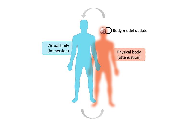 Freigeist Dr. Jakub Limanowski möchte herausfinden, was passiert, wenn man zwischen physischen und virtuellen Körpern hin- und herwechselt und wie nachhaltig sich das eigene Körpermodell in solchen Szenarien verändert.