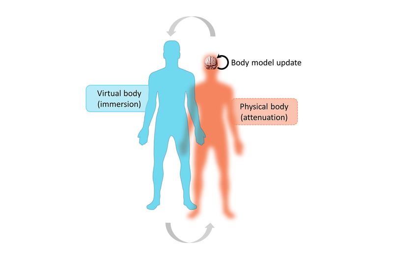 Dr. Jakub Limanowski wants to find out what happens when one switches back and forth between physical and virtual bodies and how permanently one's body model changes in such scenarios.