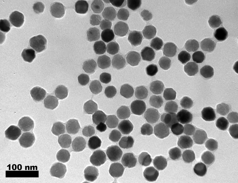 Magnetosomes isolated from magnetic bacteria.