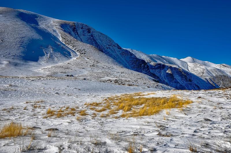 Plant responses to climate are more complex than previously appreciated