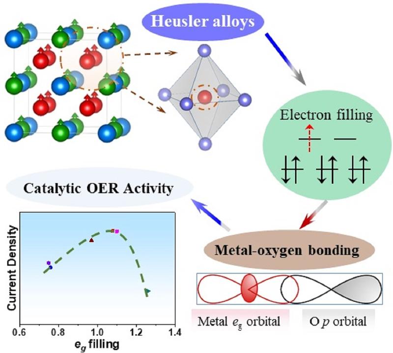 Wirkungsweise von Heusler-Verbindungen als eine neue Klasse von OER-Elektrokatalysatoren