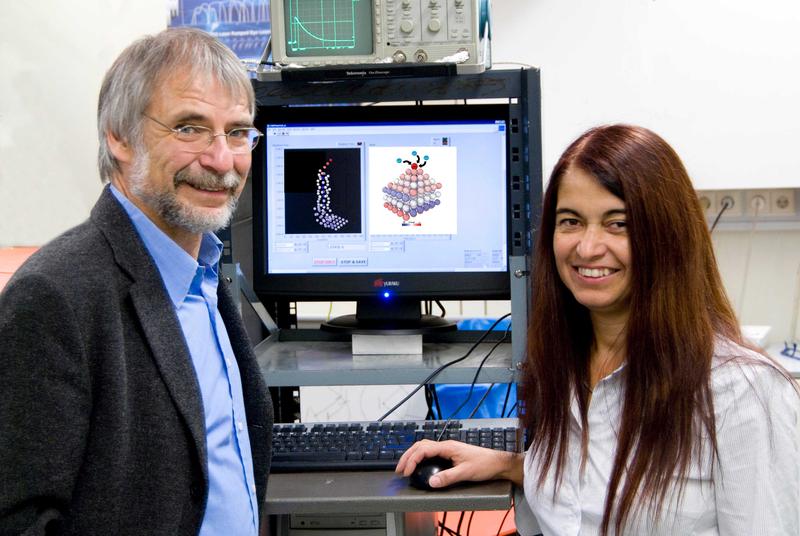 Am Institut für Theoretische Chemie forschen Dr. Elizabeth Santos und Prof. Wolfgang Schmickler unter anderem zur Dendritenbildung in Batterien Dendrit 