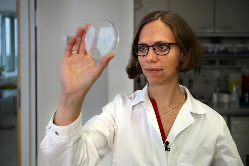 Prof. Dr. Karen Alim in her laboratory