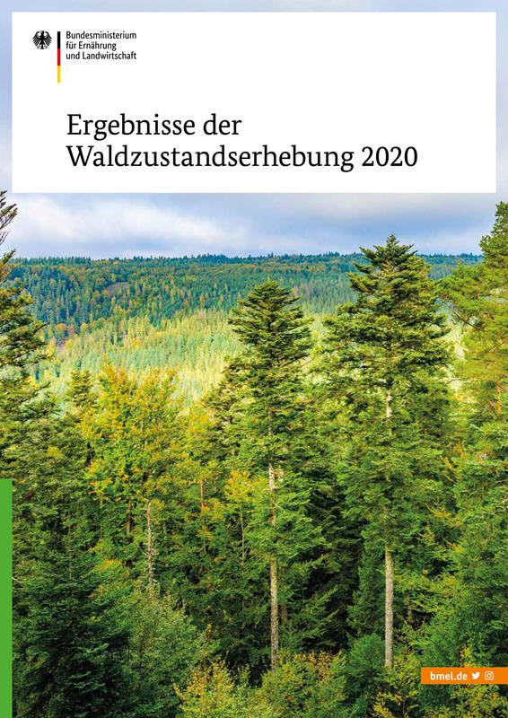 Broschüre "Waldzustandserhebung 2020"