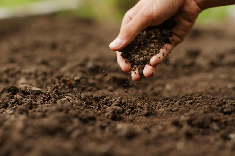 Changes in microbial diversity in soils may affect important ecosystem functions like nutrient cycles.