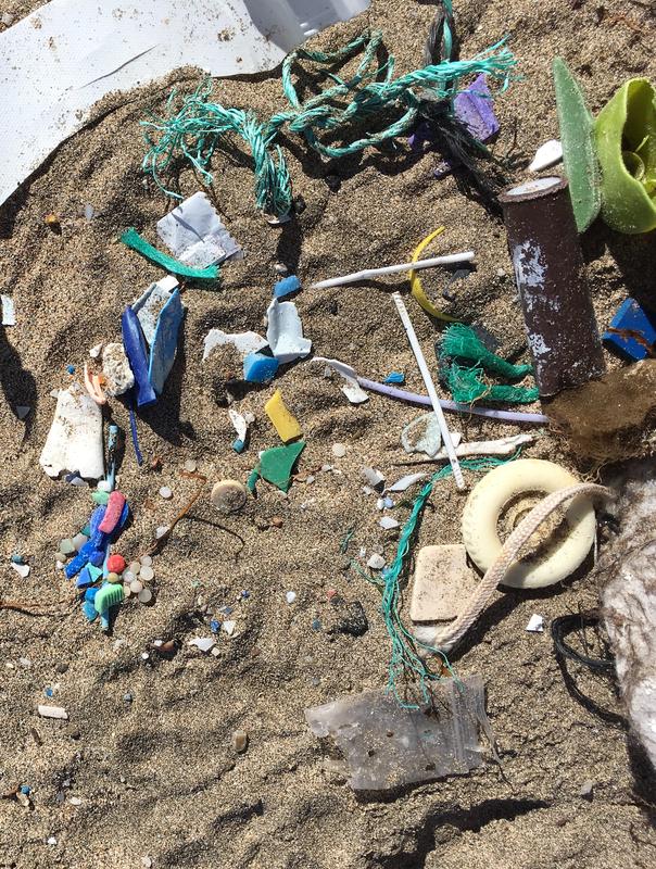 According to model calculations, 67 trillion microplastic particles (most of which result from the degradation of macroplastics) are discharged from urban sources into the Baltic Sea each year.