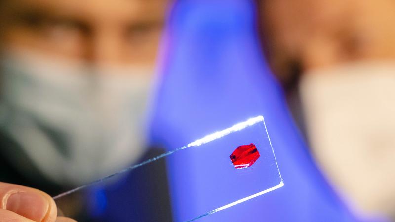 Prof. Dr Winfried Plass (r.) and Benjamin Kintzel look at a crystal of a molecular nanomagnet.