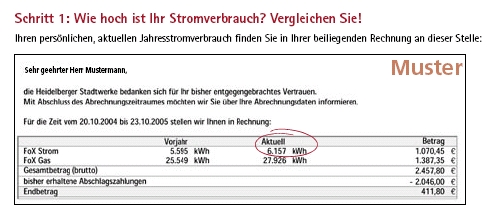 Ausschnitt 1: Hinweis zum Lesen der Stromrechnung