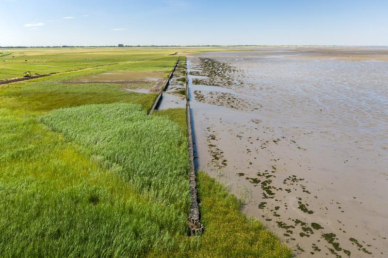 Totholzbauweise an der Tideelbe zum Schutz vor Wellen- und Strömungsangriff