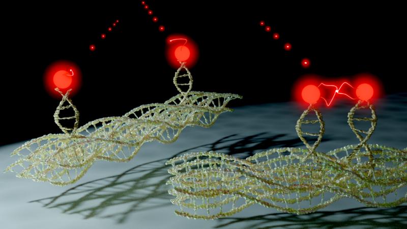 The figure shows two DNA origamis with two dye molecules (red dots) attached.