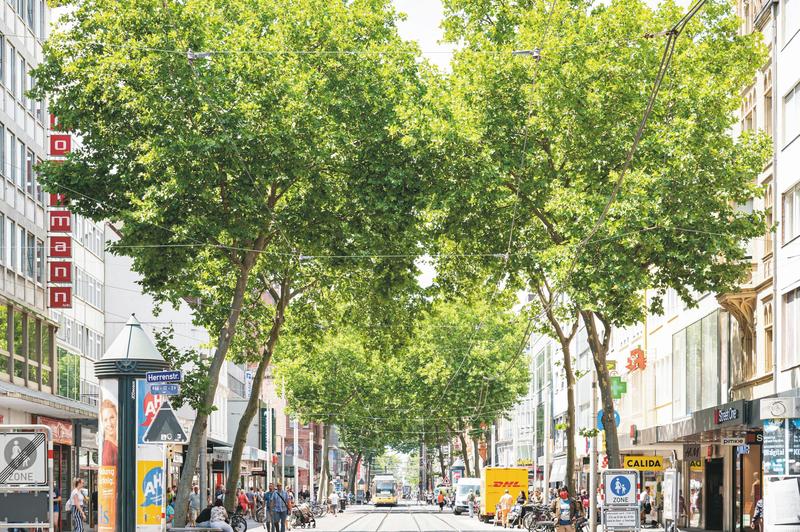 Das Reallabor KARLA soll den Klimaschutz stärker in die Gesellschaft bringen und ausgewählte Klimaschutzmaßnahmen in Karlsruhe erforschen. (Foto: Anastasiya Sultanova, KIT)