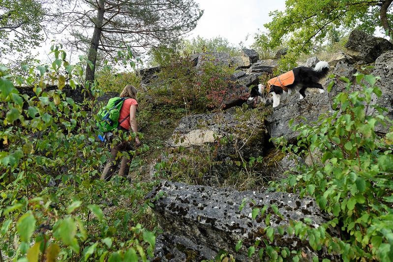 Annegret Grimm-Seyfarth mit Border Collie „Zammy“ auf der Suche nach bedrohten Kammmolchen. 