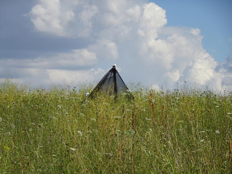 To determine the species on the flowering fields, apart from other traps types, these tent traps were used to catch flying insects.