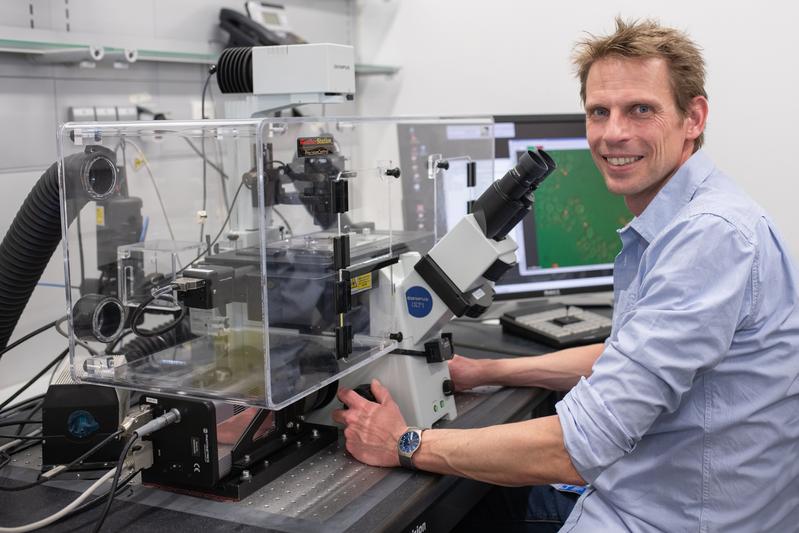 Dr. Alexander Dünkler mikroskopiert Hefezellen 