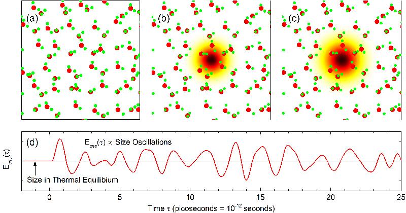 Graphische Darstellung eines oszillierenden Polarons in flüssigem Wasser