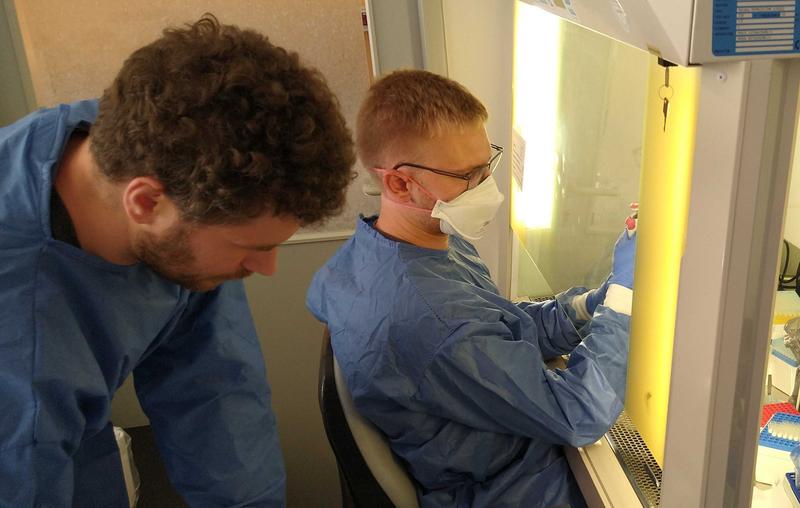 Forscher Stephan Riesenberg (links) und Lukas Bokelmann (rechts) im Labor am Max-Planck-Institut für evolutionäre Anthropologie.