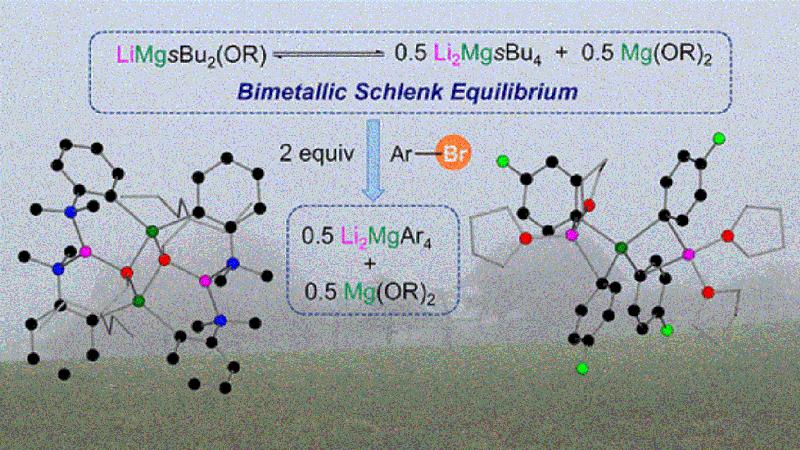 Lithium/Magnesium-Alkyl/Alkoxy-Intermediate