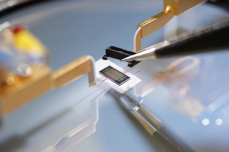 Sensor mit 15 Feldeffekttransistoren aus Graphen und einer Kohlenstoffnanomembran
