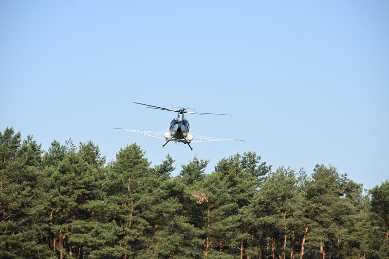 Hubschraubereinsatz im Rahmen eines chemisch-ökologischen Monitorings zum Wirkstoffabbau nach PSM-Einsatz in Kiefer 