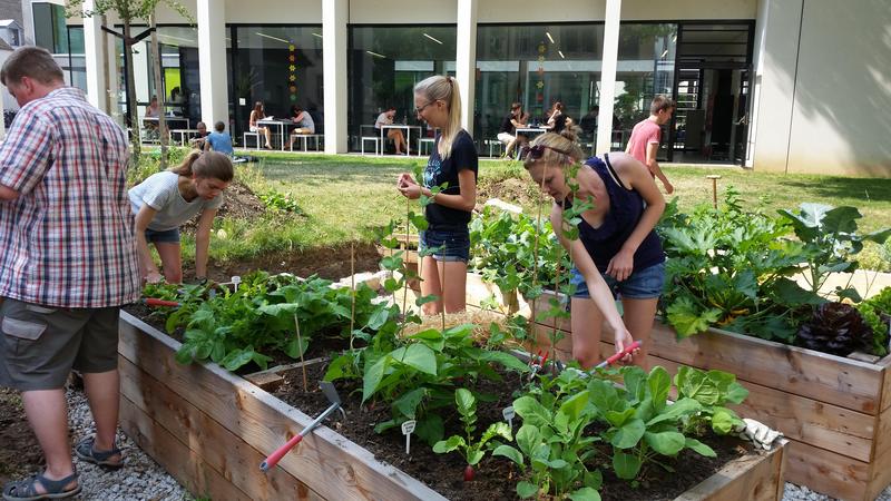 Das Projekt „UniGardening“ bietet einen ökologischen Gestaltungsraum auf dem Universitätsgelände.