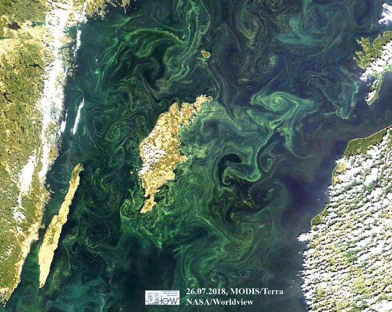 The small cogs in the gears of ocean dynamics - filaments, fronts and eddies no larger than 1 to 10 km - can cause nutrient transport into the surface water and thus trigger such blue-green algae blooms as shown here around the Baltic Sea island Gotland.