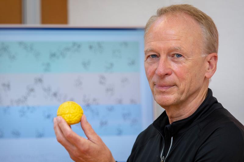 TU Graz-Informatiker Wolfgang Maass (v.l.) arbeitet an energieeffizienten KI-Anwendungen und lässt sich dabei von der Funktionsweise des menschlichen Gehirns inspirieren.