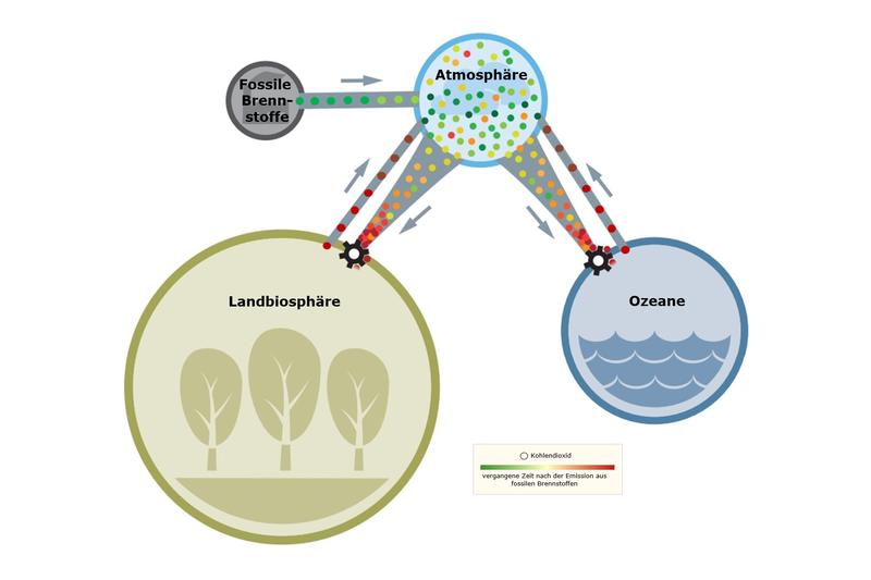 Schema des globalen Kohlendioxid-Kreislaufs