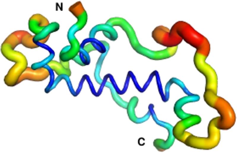 Regionen der Flexibilität des Proteins: wenig (blau), mittel (grün/gelb) und hoch (rot) flexibel. Allerdings bleiben sowohl die zentrale Alpha-Helix als auch der N-Terminus (Proteinanfang) im Vergleich zum Rest des Proteins stabil