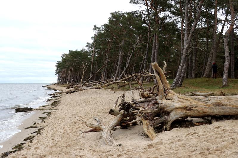 Sturmfluten, die Schäden an unseren Küsten hinterlassen, treten durch den Klimawandel immer häufiger auf.