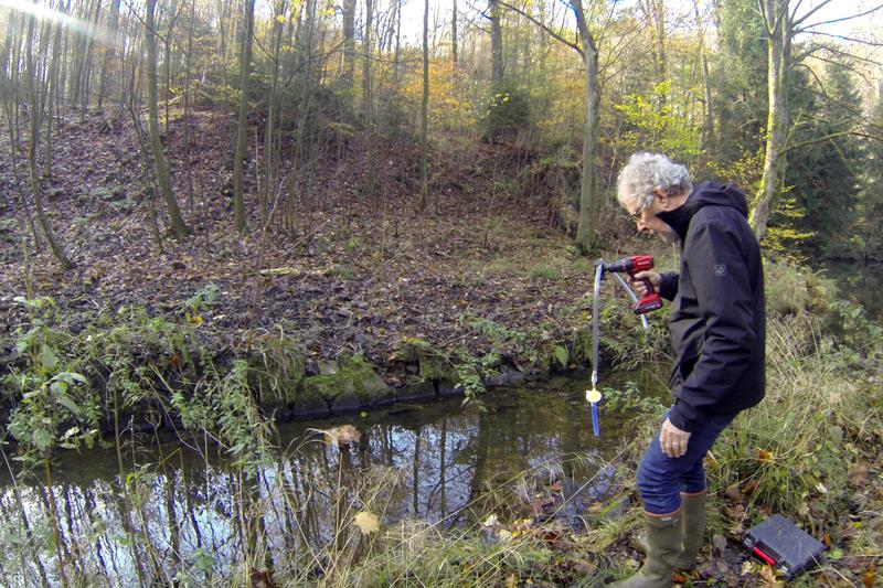 Prof. Dr. Christopher Bridges vom HHU-Institut für Stoffwechselphysiologie/Ecophysiology entnimmt Wasserproben am Hasper Bach, um darin mittels des neuen SDT-Verfahrens Spuren von Lachs-DNA zu suchen.