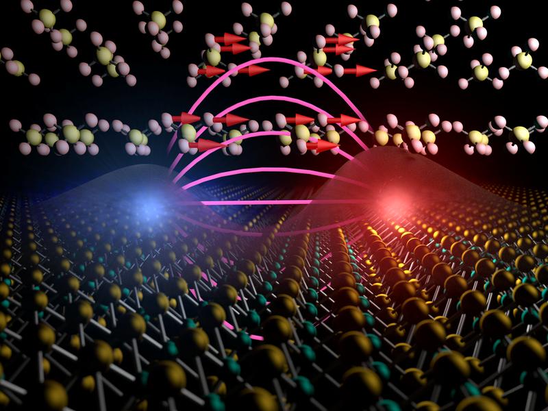 Artistic representation of interlayer exciton-phonon coupling at a transition metal dichalcogenide gypsum interface. 