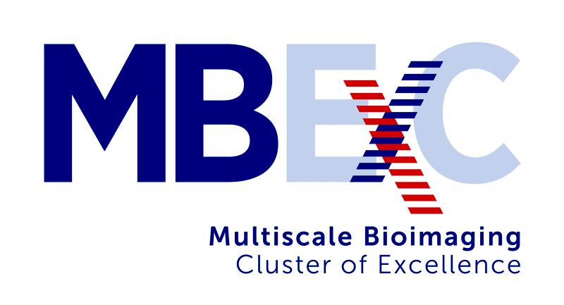 Logo Excellencecluster MBExC