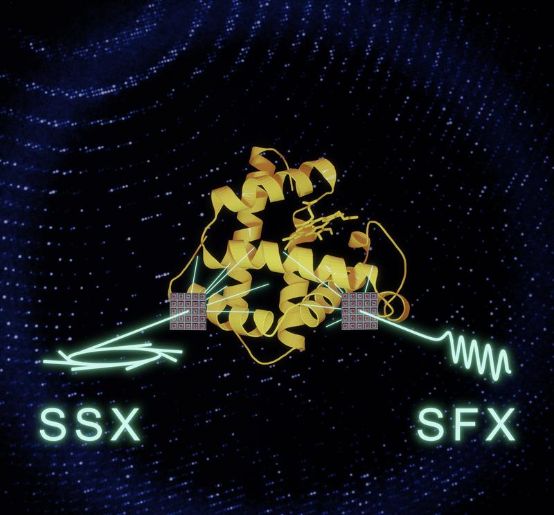 A systematic comparison shows that serial synchrotron crystallography (SSX) and serial femtosecond crystallography (SFX) can yield data of equivalent quality. 