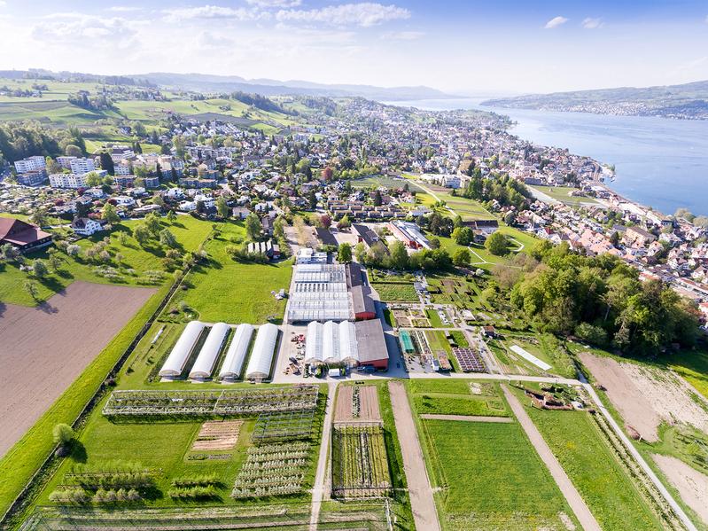 Gebäude der ZHAW auf dem Campus Grüental in Wädenswil: grüner Campus mit Versuchsflächen, Gartenanalagen und Blick auf den See Richtung Zürich 