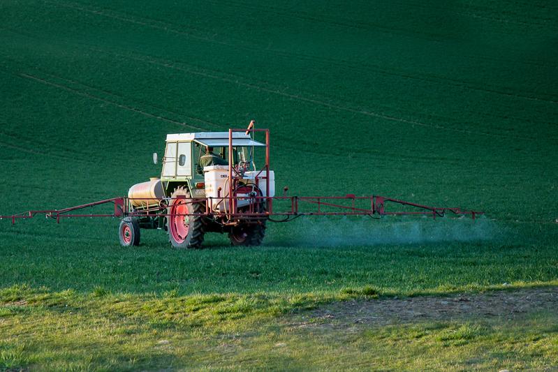 Düngemittel und Pestizide vermeiden: Im Fraunhofer-Leitprojekt ›FutureProteins‹ werden in sich geschlossenen Anbausysteme erforscht.