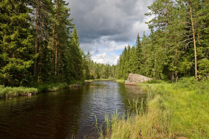 Kostbares Gut: Mit dem Weltwassertag erinnern die Vereinten Nationen seit 1993 Jahr für Jahr daran, wie wichtig Wasser als Grundlage menschlichen Lebens ist. 