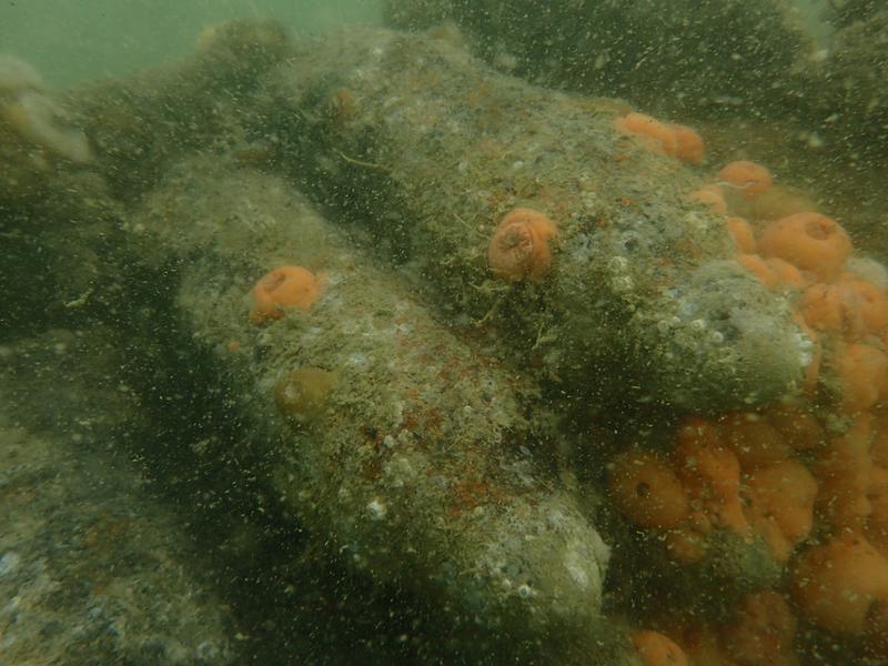 120 mm Granaten eines QF-Mk IX Schiffsgeschützes auf einem Wrack vor der belgischen Küste 