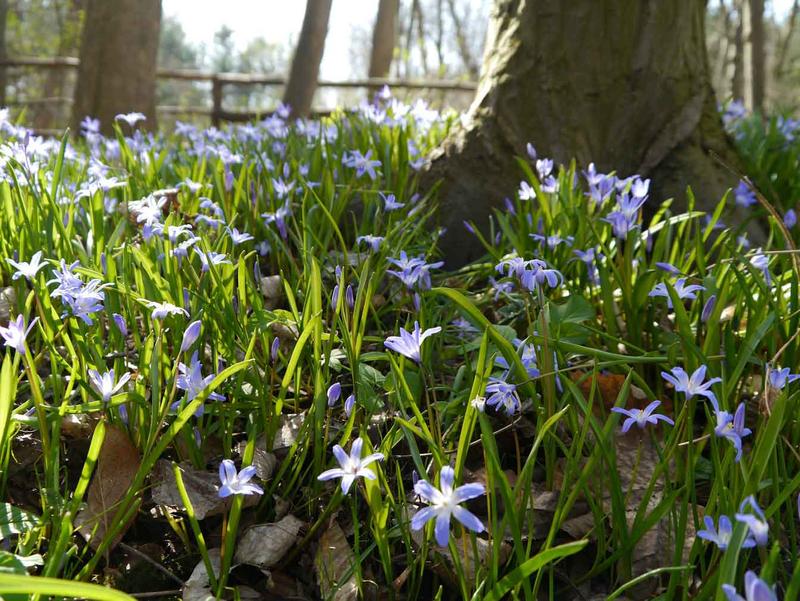 Short-lived plant species like grasses and herbs are likely to suffer much more from future climatic change than long-lived species - less due to higher temperatures, but rather from a lack of water.